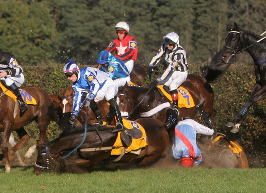 2184074-pad-maskula-a-cieszymira