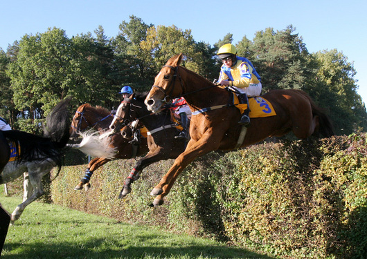 2191926-velka-pardubicka