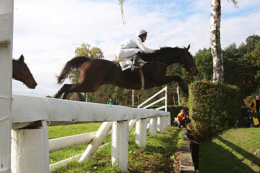 2643427-velka-pardubicka